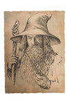 The Hobbit Art  Portrait of Gandalf
